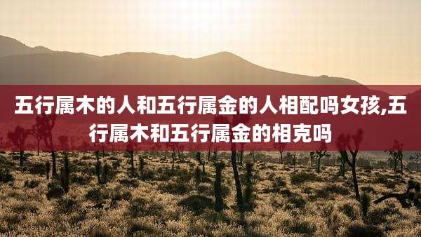 五行属木的人和五行属金的人相配吗女孩,五行属木和五行属金的相克吗