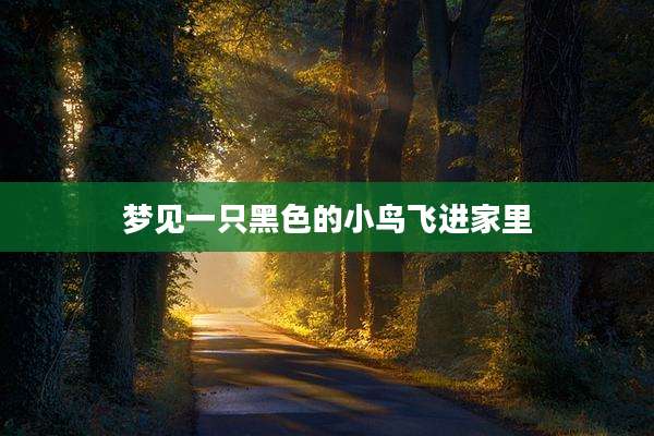 梦见一只黑色的小鸟飞进家里