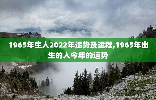 1965年生人2022年运势及运程,1965年出生的人今年的运势