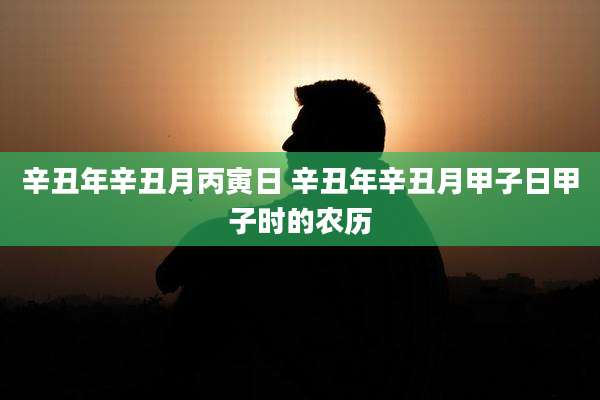 辛丑年辛丑月丙寅日 辛丑年辛丑月甲子日甲子时的农历