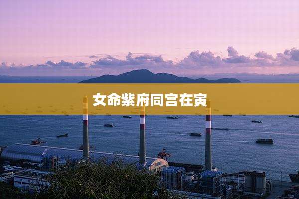 女命紫府同宫在寅