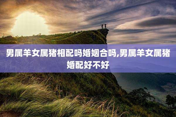 男属羊女属猪相配吗婚姻合吗,男属羊女属猪婚配好不好