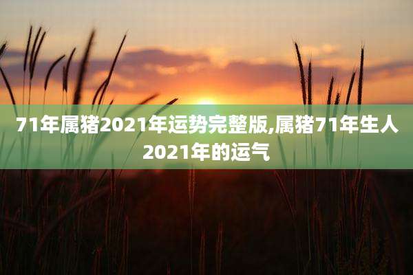 71年属猪2021年运势完整版,属猪71年生人2021年的运气