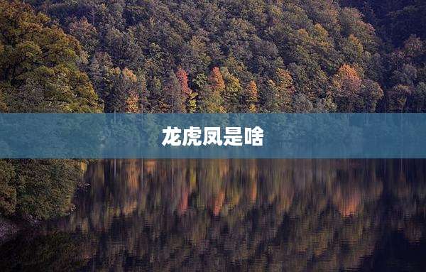 龙虎凤是啥