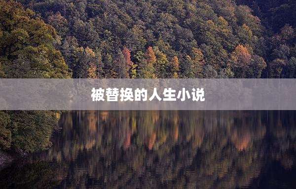 被替换的人生小说