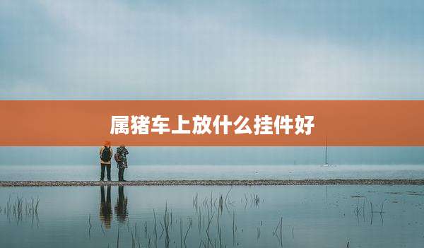 属猪车上放什么挂件好