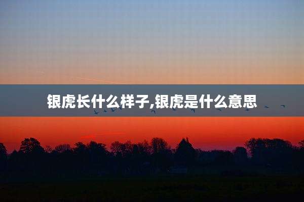 银虎长什么样子,银虎是什么意思