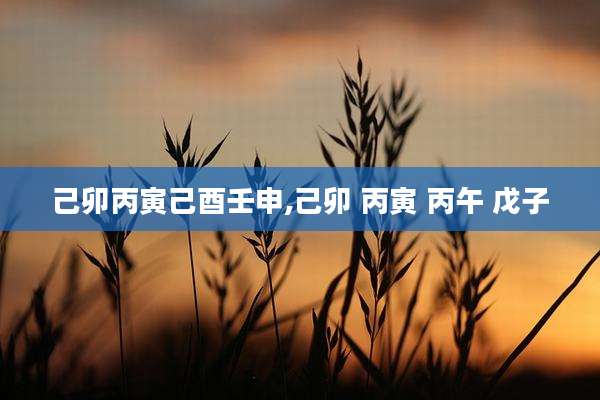 己卯丙寅己酉壬申,己卯 丙寅 丙午 戊子