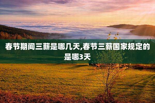 春节期间三薪是哪几天,春节三薪国家规定的是哪3天