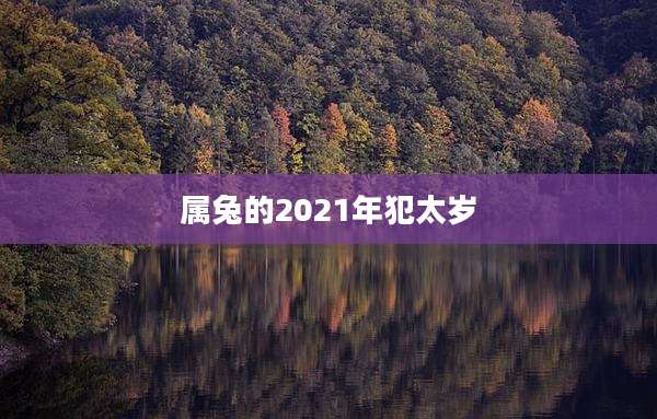 属兔的2021年犯太岁