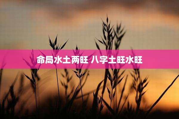 命局水土两旺 八字土旺水旺