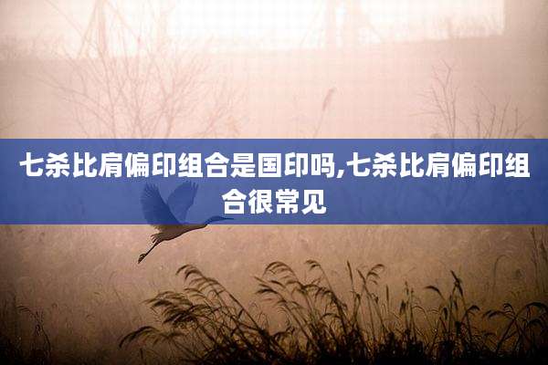 七杀比肩偏印组合是国印吗,七杀比肩偏印组合很常见