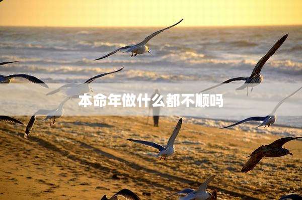 本命年做什么都不顺吗