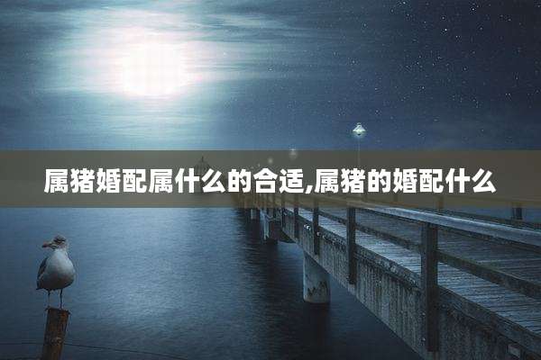 属猪婚配属什么的合适,属猪的婚配什么