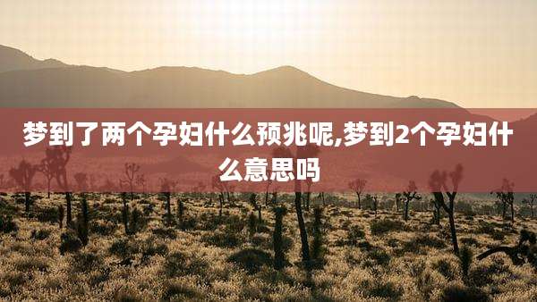 梦到了两个孕妇什么预兆呢,梦到2个孕妇什么意思吗