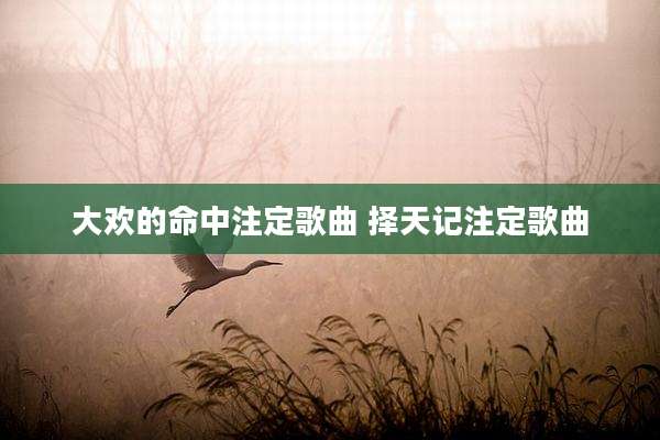 大欢的命中注定歌曲 择天记注定歌曲