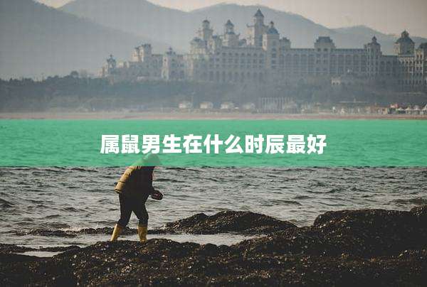 属鼠男生在什么时辰最好