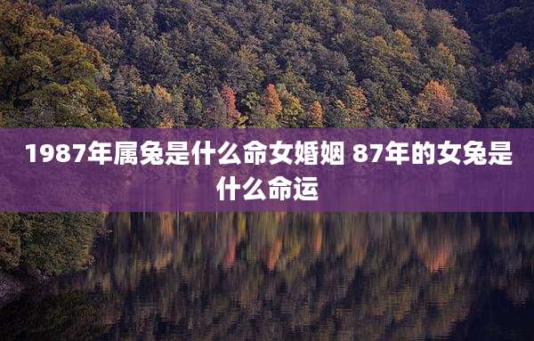 1987年属兔是什么命女婚姻 87年的女兔是什么命运