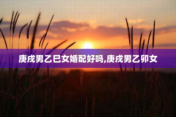 庚戌男乙巳女婚配好吗,庚戌男乙卯女