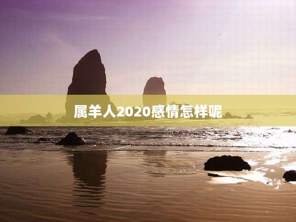 属羊人2020感情怎样呢