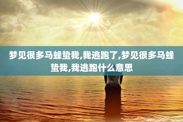 梦见很多马蜂蛰我,我逃跑了,梦见很多马蜂蛰我,我逃跑什么意思