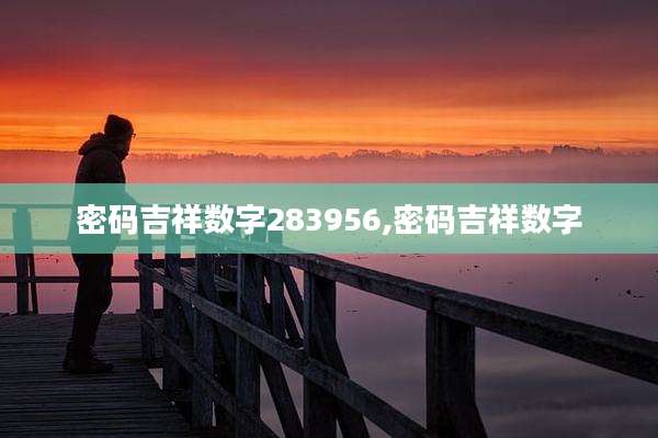密码吉祥数字283956,密码吉祥数字
