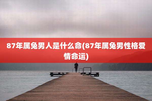 87年属兔男人是什么命(87年属兔男性格爱情命运)