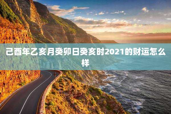 己酉年乙亥月癸卯日癸亥时2021的财运怎么样