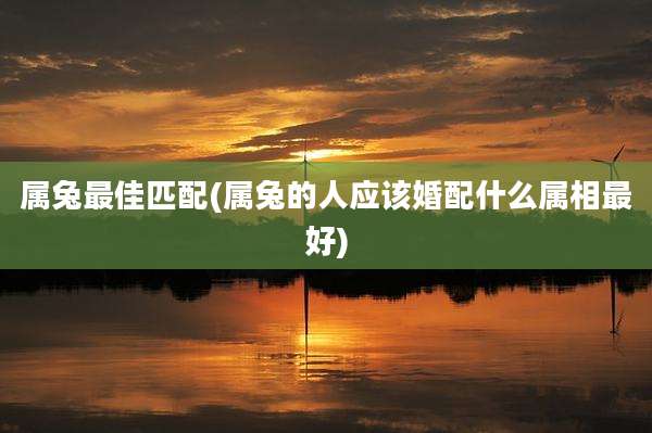 属兔最佳匹配(属兔的人应该婚配什么属相最好)