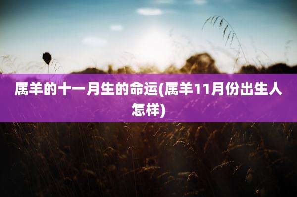 属羊的十一月生的命运(属羊11月份出生人怎样)