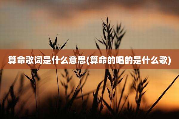 算命歌词是什么意思(算命的唱的是什么歌)