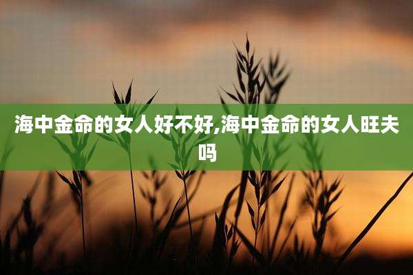 海中金命的女人好不好,海中金命的女人旺夫吗