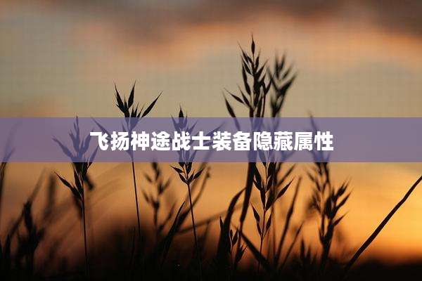 飞扬神途战士装备隐藏属性