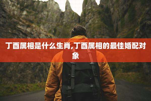 丁酉属相是什么生肖,丁酉属相的最佳婚配对象