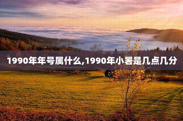 1990年年号属什么,1990年小暑是几点几分