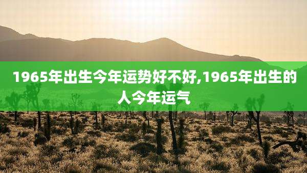 1965年出生今年运势好不好,1965年出生的人今年运气