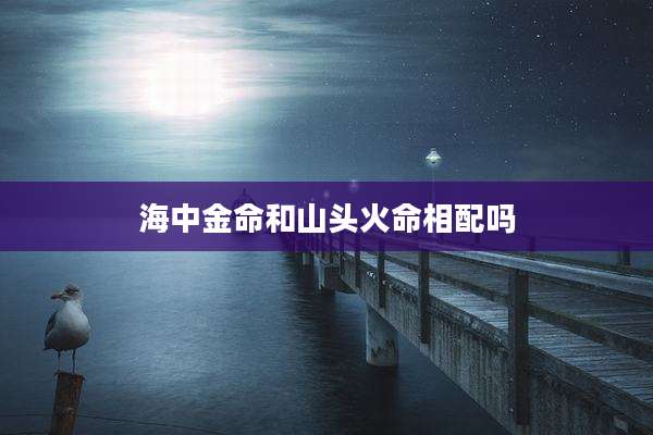 海中金命和山头火命相配吗