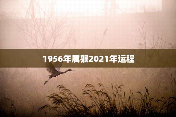 1956年属猴2021年运程
