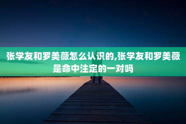 张学友和罗美薇怎么认识的,张学友和罗美薇是命中注定的一对吗