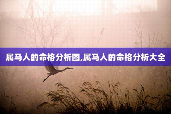 属马人的命格分析图,属马人的命格分析大全