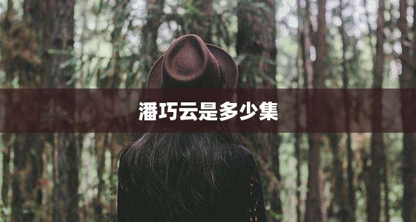 潘巧云是多少集