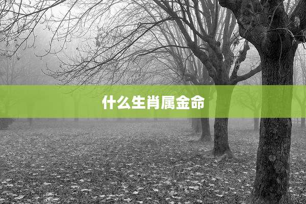 什么生肖属金命
