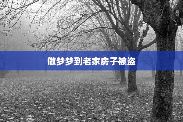 做梦梦到老家房子被盗
