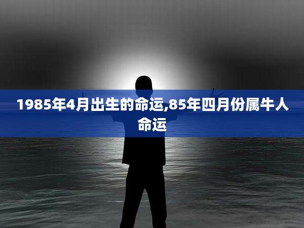 1985年4月出生的命运,85年四月份属牛人命运