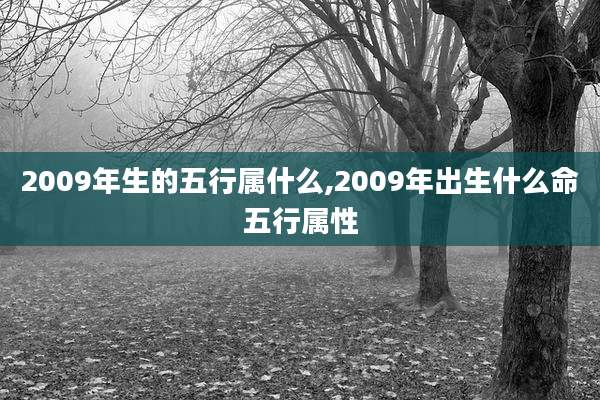 2009年生的五行属什么,2009年出生什么命五行属性