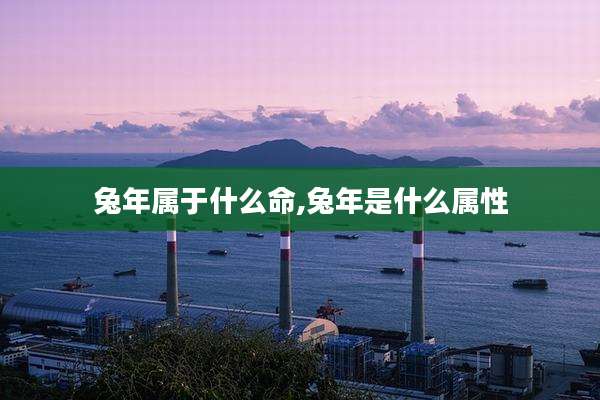 兔年属于什么命,兔年是什么属性