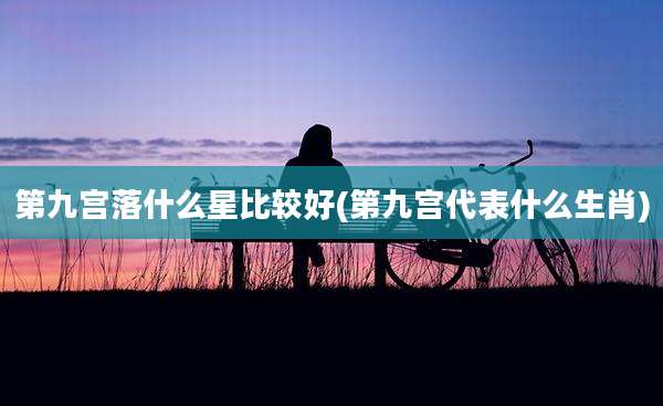 第九宫落什么星比较好(第九宫代表什么生肖)