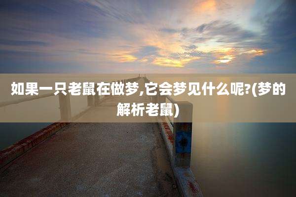 如果一只老鼠在做梦,它会梦见什么呢?(梦的解析老鼠)
