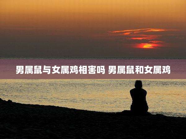 男属鼠与女属鸡相害吗 男属鼠和女属鸡