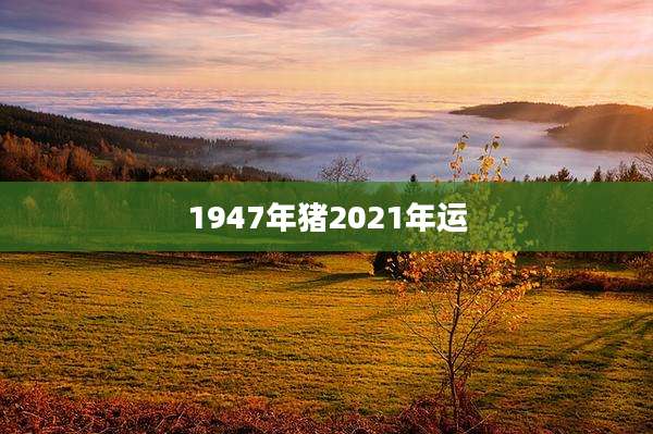 1947年猪2021年运